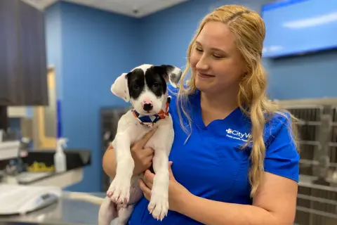 CityVet Celina opens in Prosper, Texas