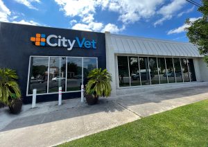 CityVet Alamo Heights