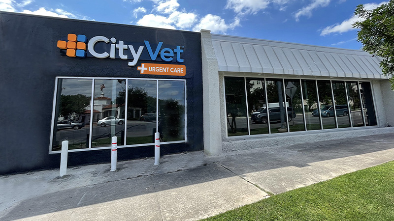 Alamo Heights CityVet + Urgent Care