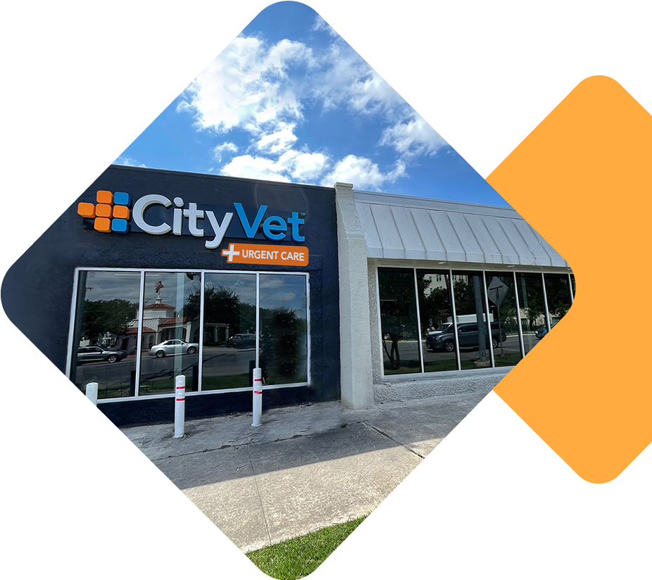 CityVet Alamo Heights