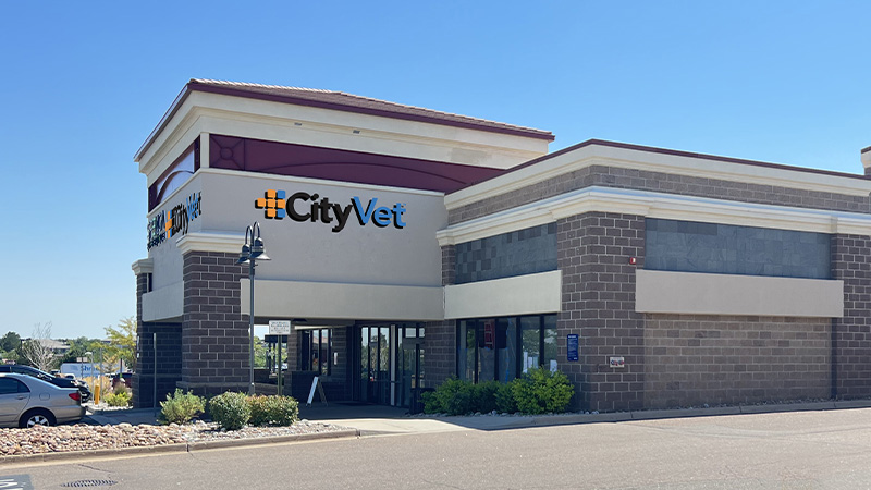 Highlands Ranch CityVet + Urgent Care