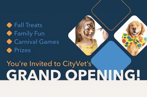 Highlands Ranch CityVet Grand Opening